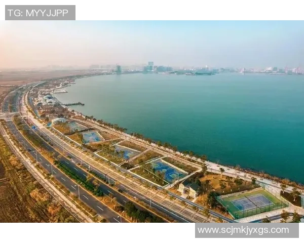 杭州网球队运营革新探索：从传统模式到数字化转型的全新路径